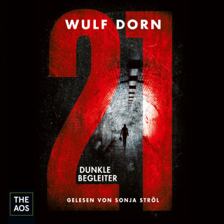 Wulf Dorn: 21 - Dunkle Begleiter