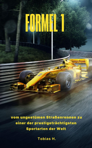 Tobias Hopfmüller: Formel 1